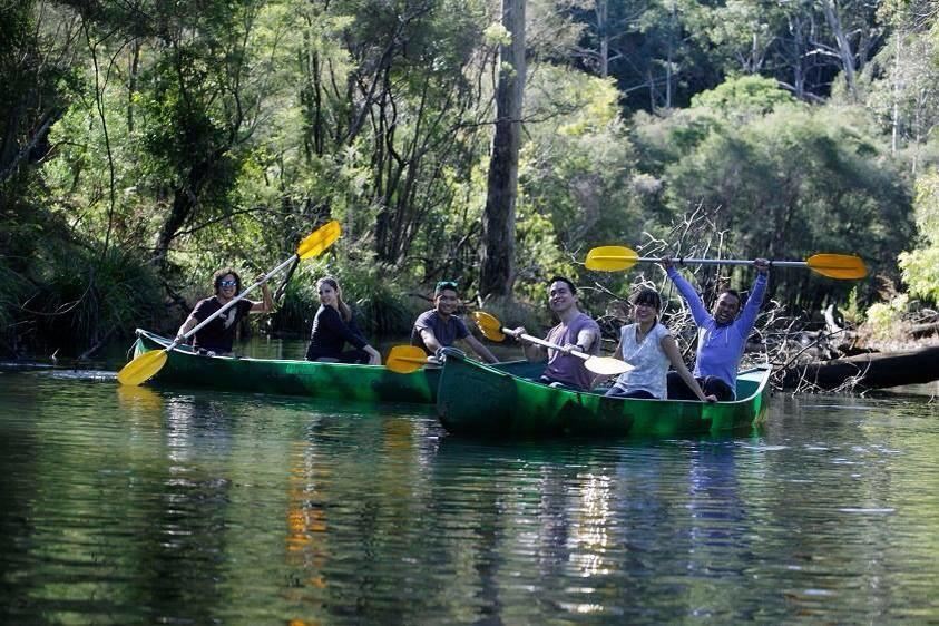 Kurrajong Trails & Cottages Wheeny Creek Eksteriør billede