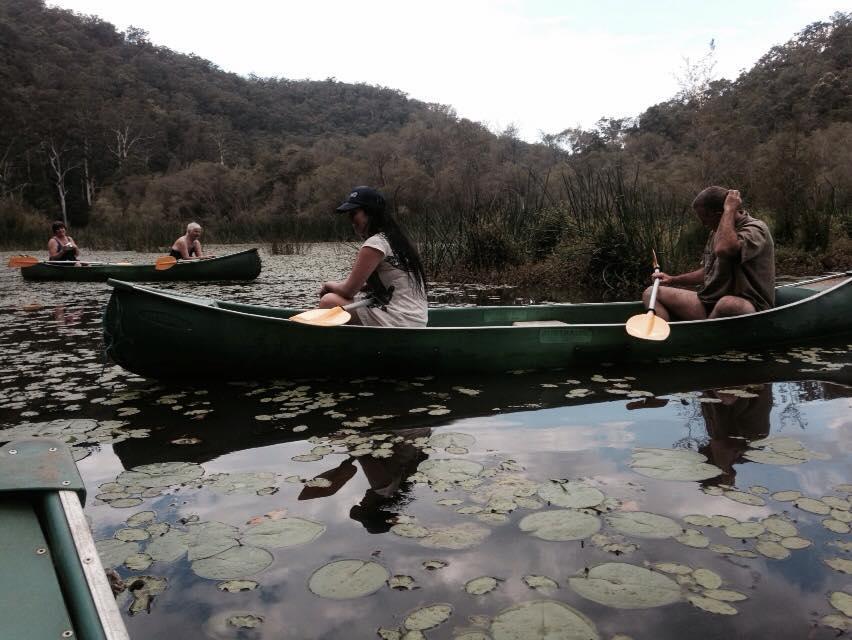 Kurrajong Trails & Cottages Wheeny Creek Eksteriør billede