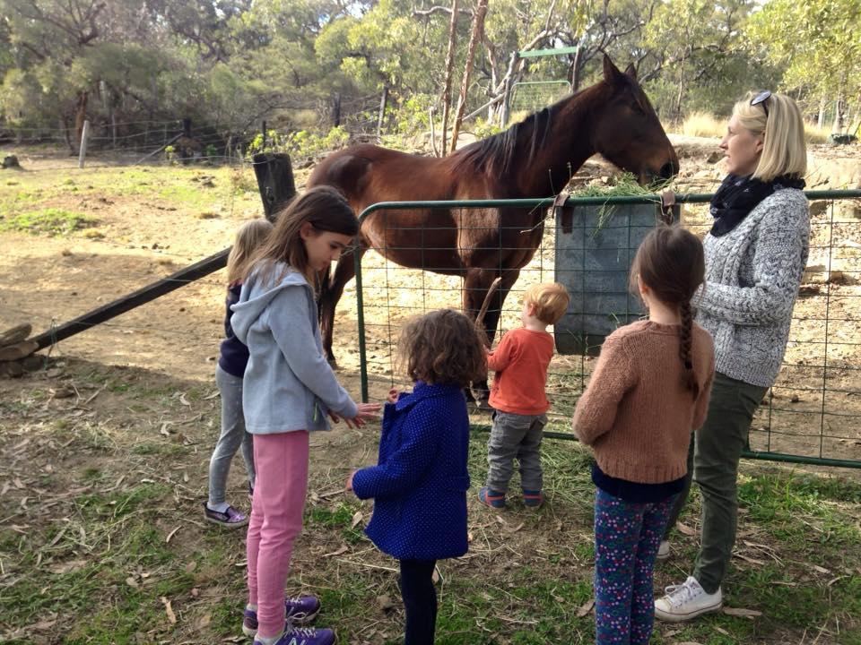 Kurrajong Trails & Cottages Wheeny Creek Eksteriør billede