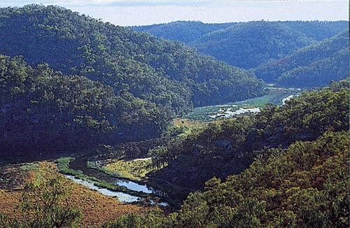 Kurrajong Trails & Cottages Wheeny Creek Eksteriør billede